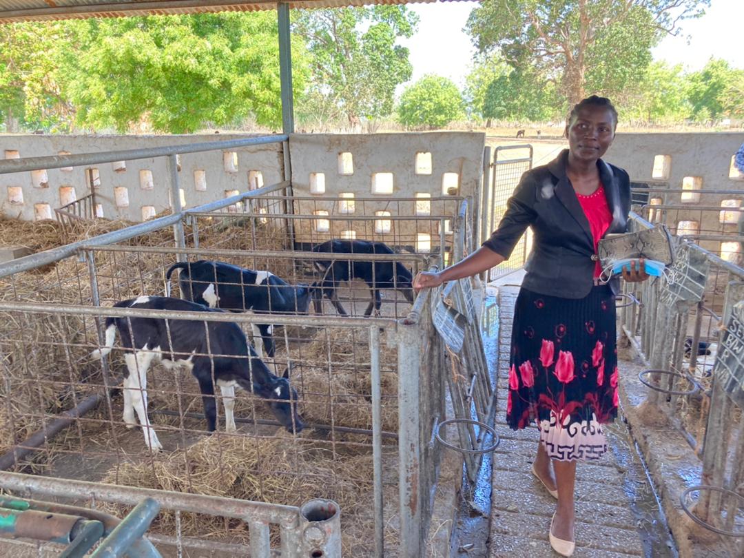 IrlEmbTanzania's tweet photo. Ireland 🇮🇪 also supports the #MaziwaFaida programme in Tanga, promoting innovations for sustainable milk production in Tanzania 🇹🇿. 

#NaneNane2024 #FarmersDay2024 https://t.co/kLiT0fyJFj