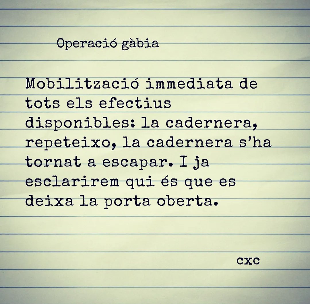Litus90's tweet photo. #microrelats #microcontes #escriure #escriureencatalà #relatsencatalà #uncontecadadia #dia1601 #operaciógàbia #operatiu #cadernera #fugir https://t.co/FR42ZWtVyX