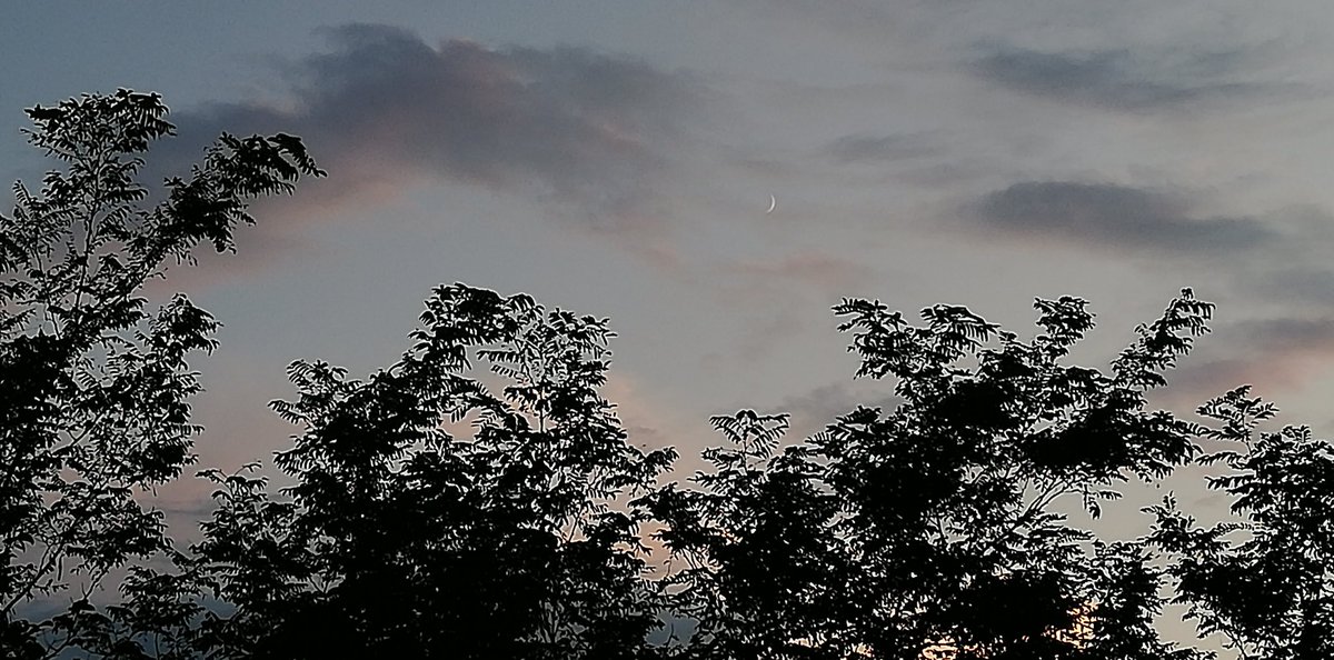 mir_two's tweet photo. 夕空に月🌒 https://t.co/FKMe5x29EH