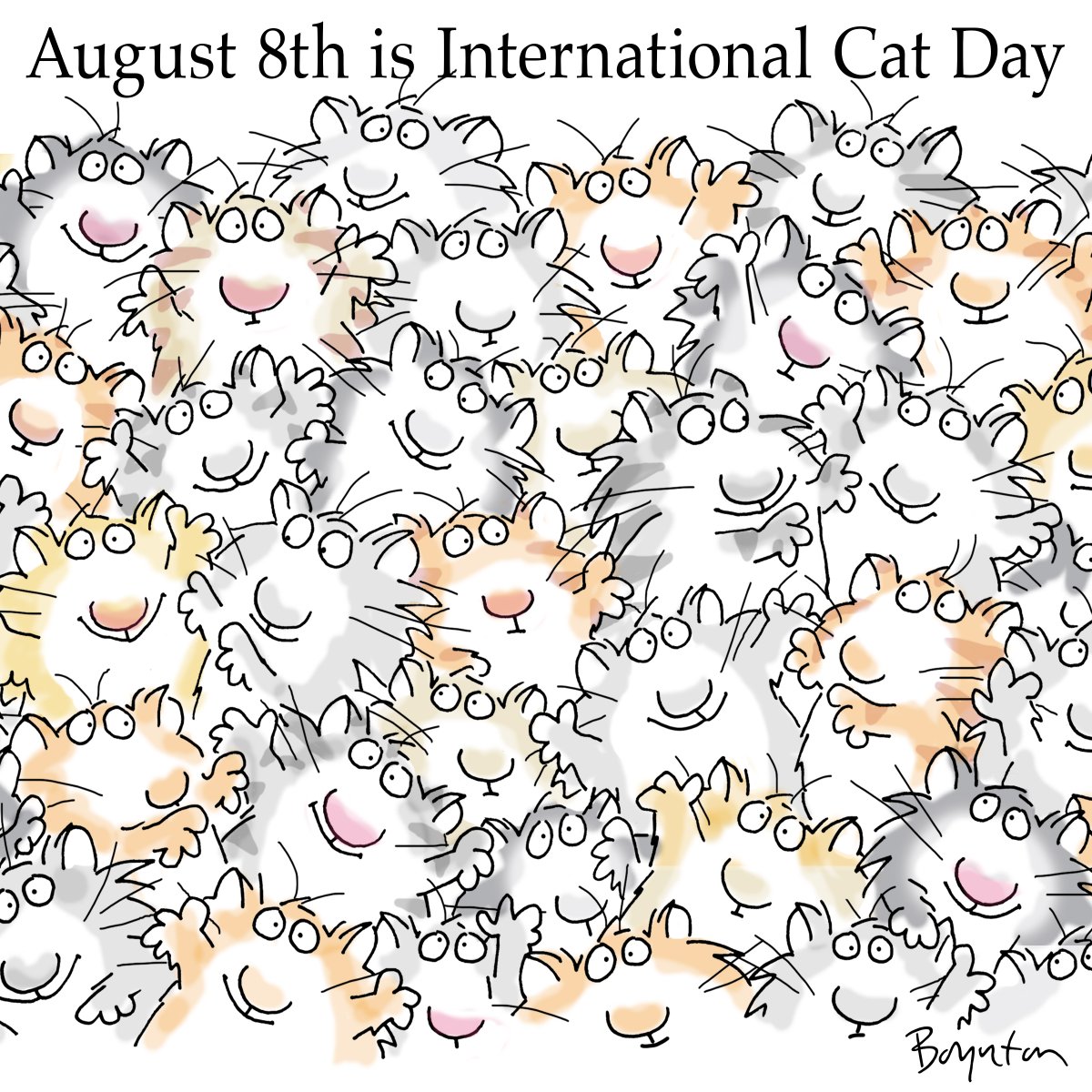 SandyBoynton's tweet photo. Oh, what a beautiful feline! #internationalcatday2024 https://t.co/iYrhenmgWu