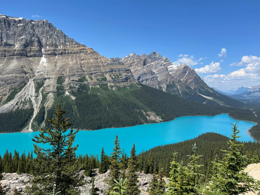 Lime_ (@lelpup) on Twitter photo 