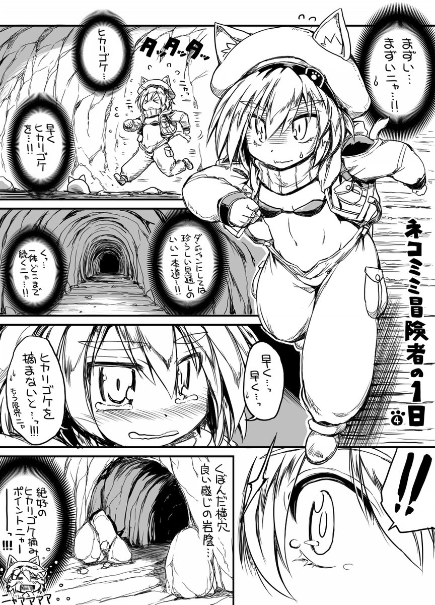 (2/2) 
