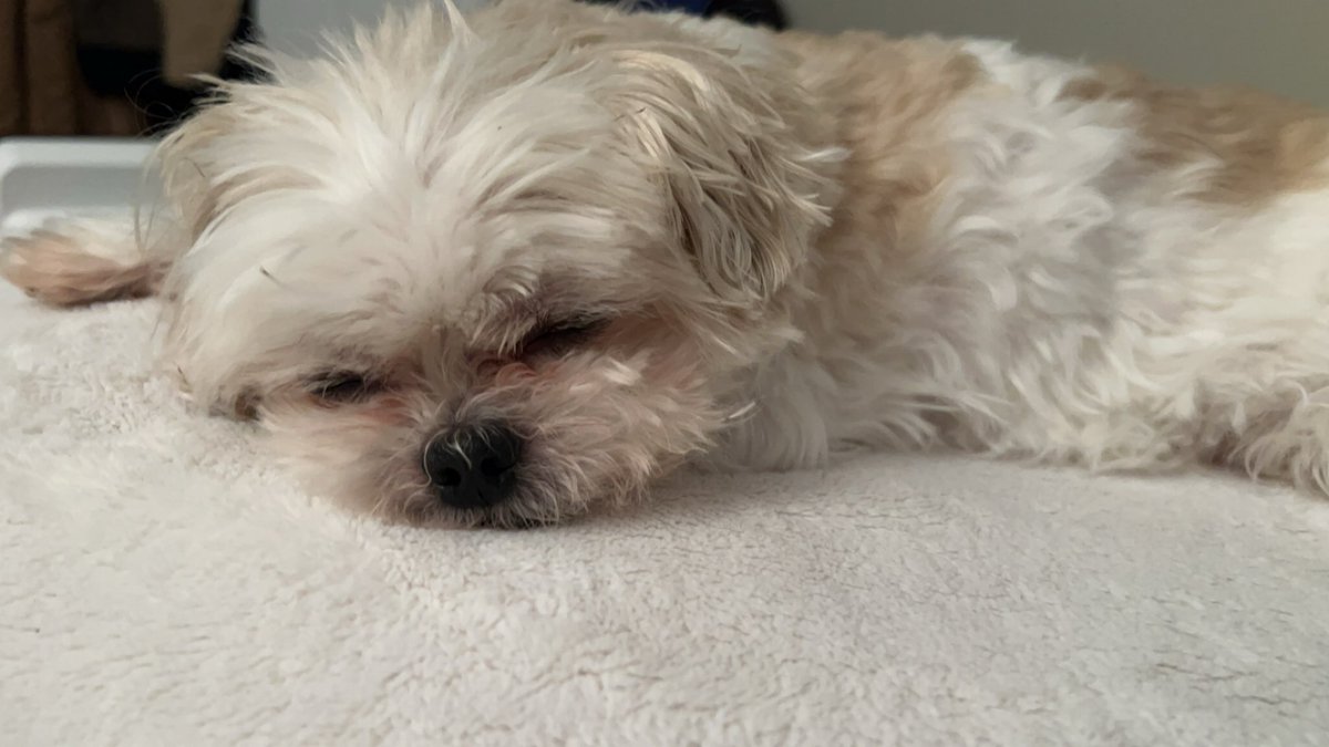 Im going to eat him one day