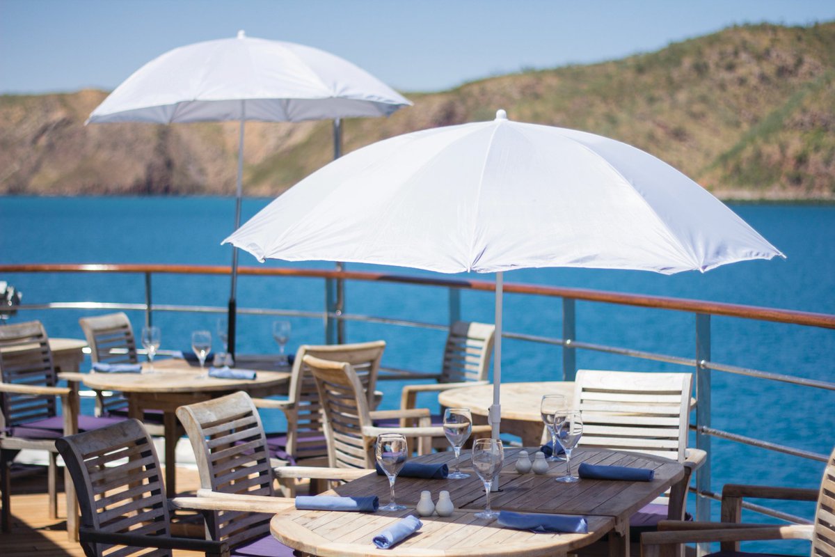 Becky Baumbach tweet media