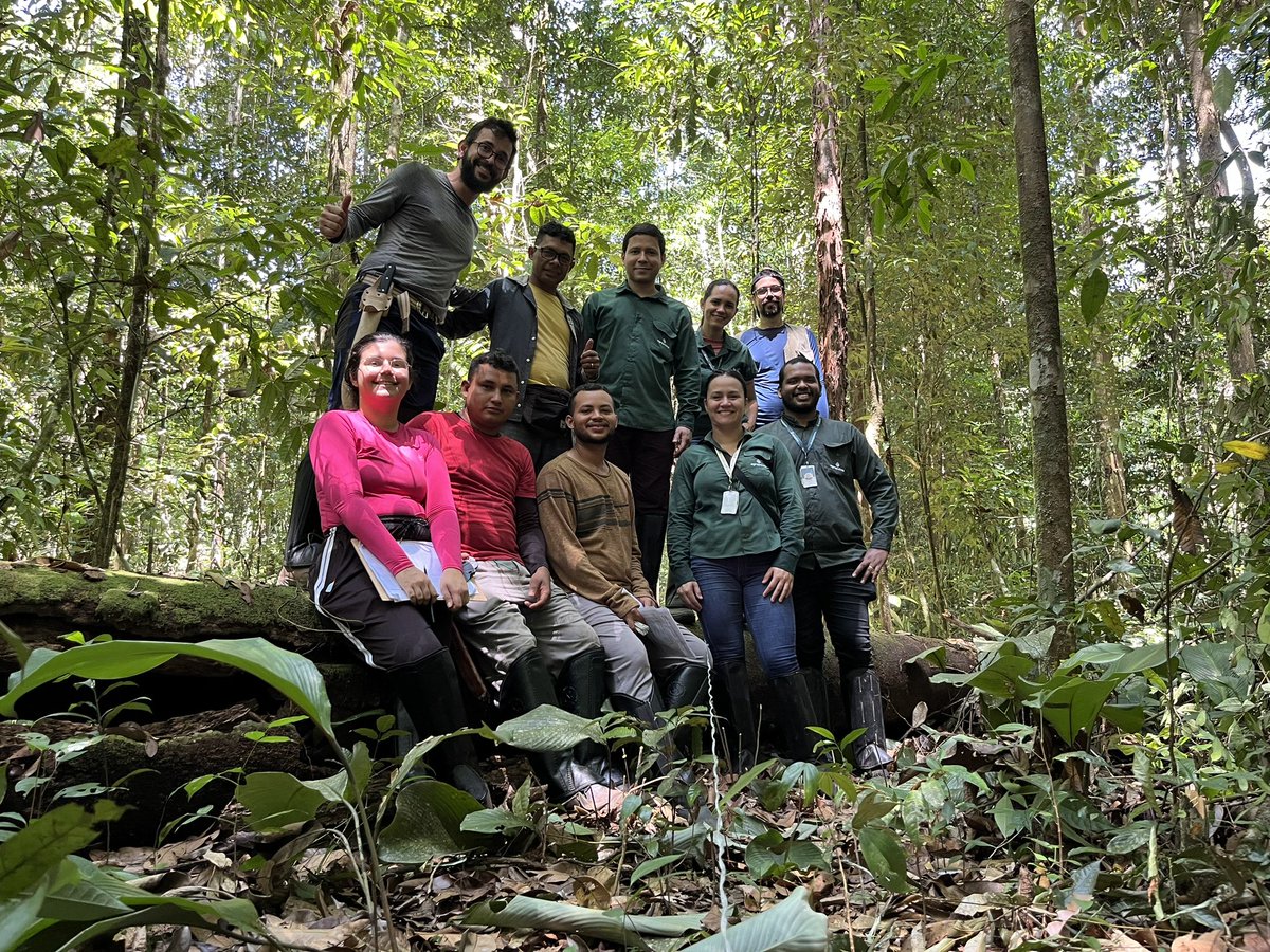 Filipe França tweet media