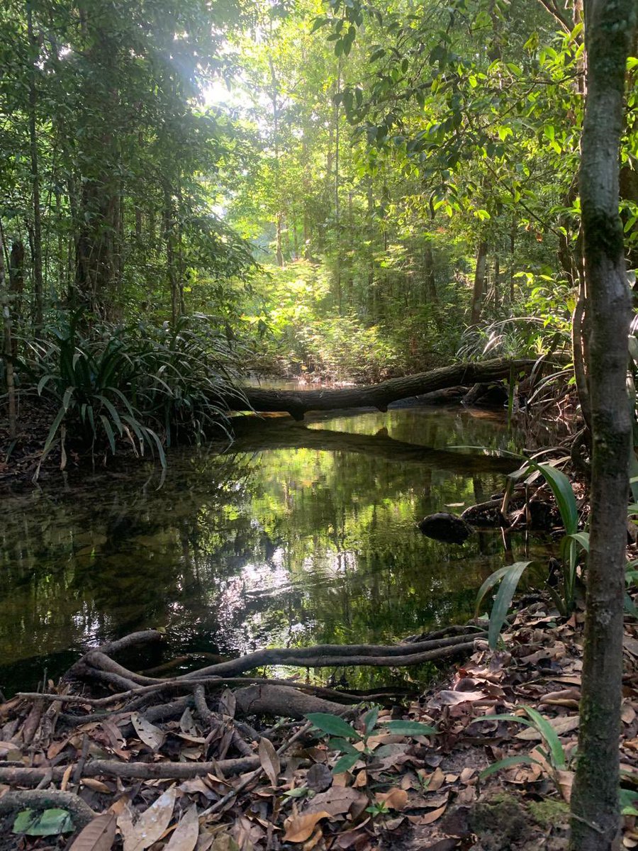 Filipe França tweet media