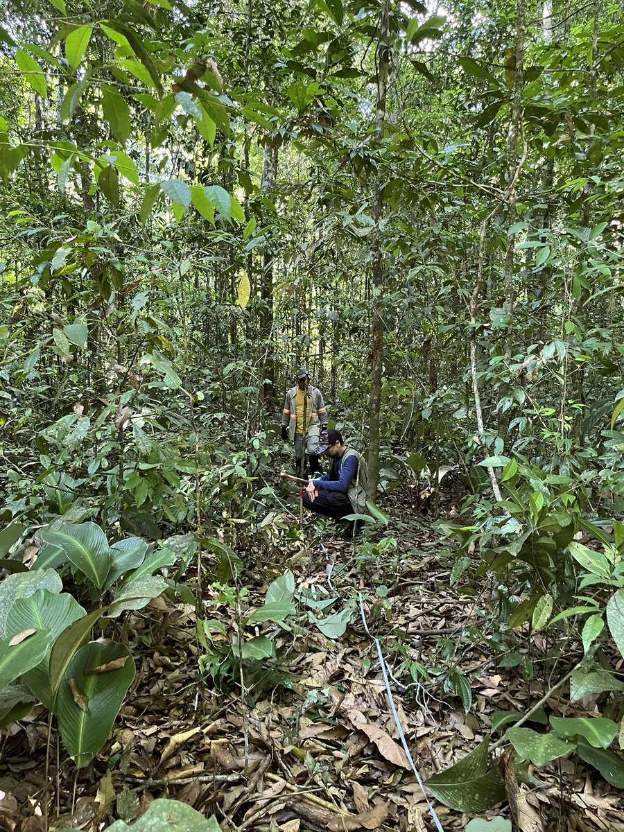 Filipe França tweet media