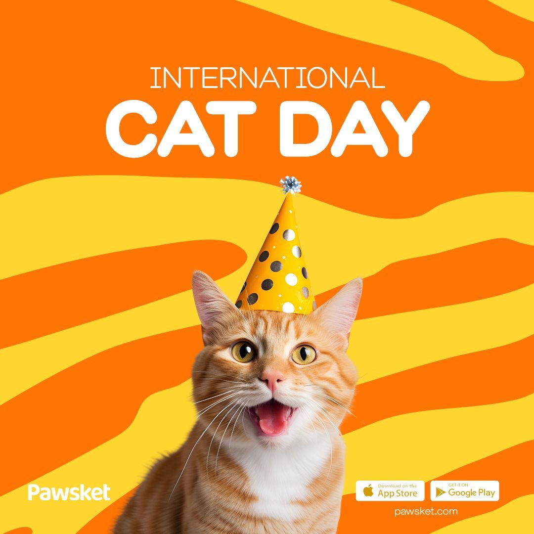 pawsket's tweet photo. Celebrating the elegance, mystery, and charm of our feline friends on International Cat Day! 🐾🤩 https://t.co/cVSCCW1yv5