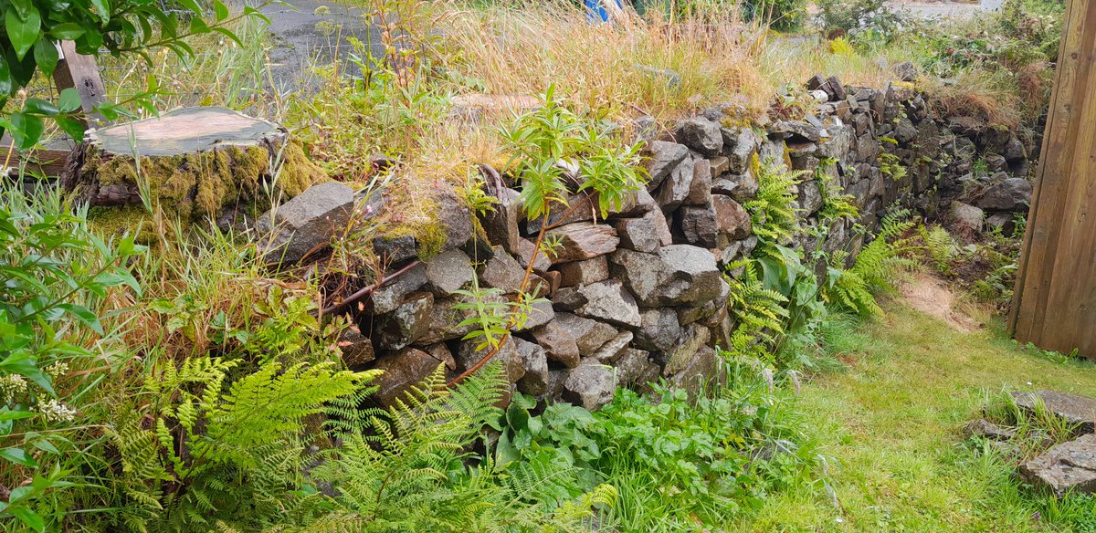 Nick Ferguson Crioch Walling tweet media