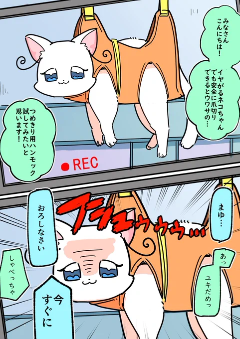 動物系キュアチューバーまゆ(NGシーン) 