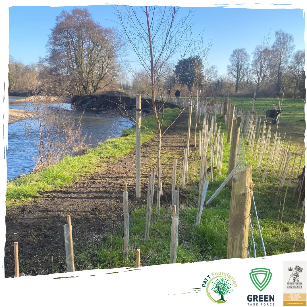 We're looking for #volunteers for the 2024/5 planting season.
🌳🌲🌳🌲🌳🌲🌳🌲

You would support on-site locations, tree planting, placement of tree stakes and shelters, and general site clearance and maintenance.

👇👇👇
uk.becollective.com/groups/62e27f6…