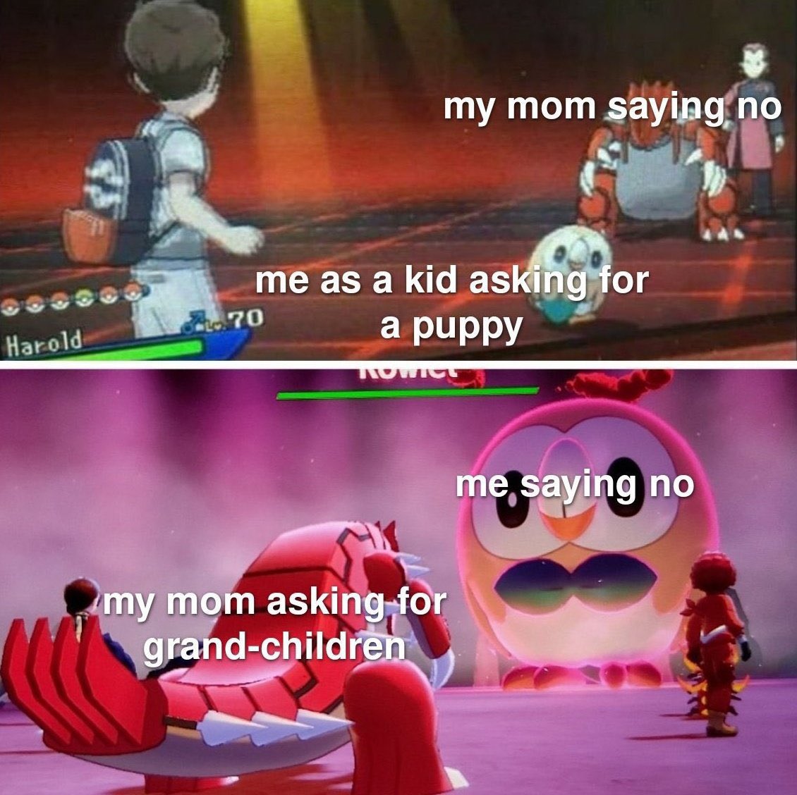 sinnoh_CEO's tweet image. 