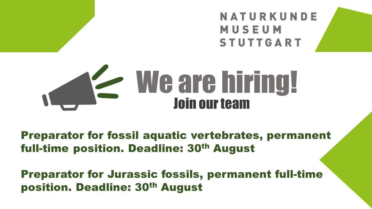 BathEnright's tweet image. 🚨We are hiring two permanent full-time preparators!
Please see here for all the details 👉naturkundemuseum-bw.de/en/jobs
#preparator #museum #smns #job #conservation #preperation #fossils