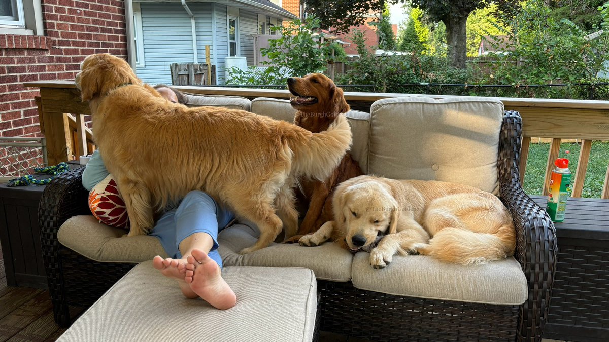 Walker & Ginger tweet media