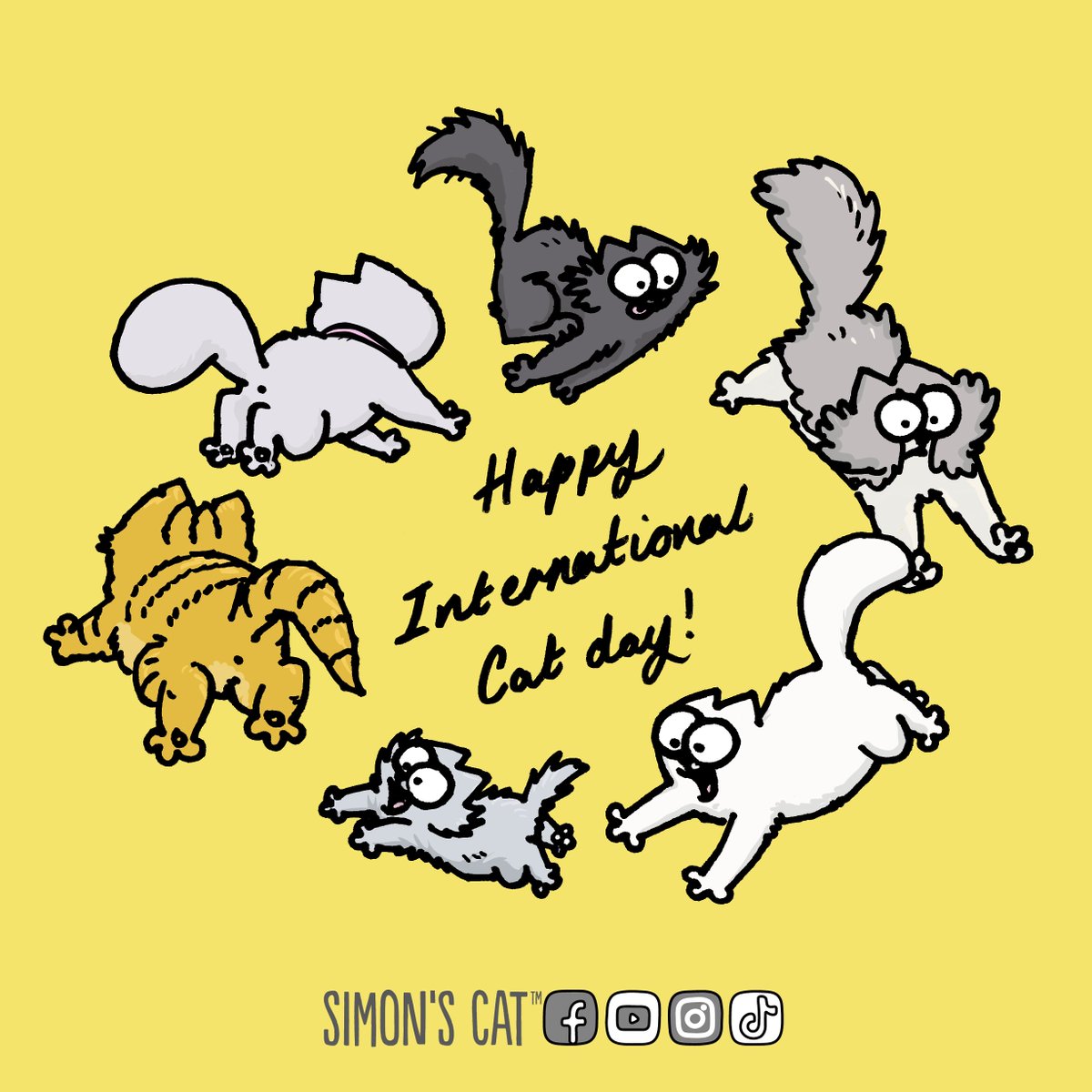 Simon's Cat 🐾 tweet media