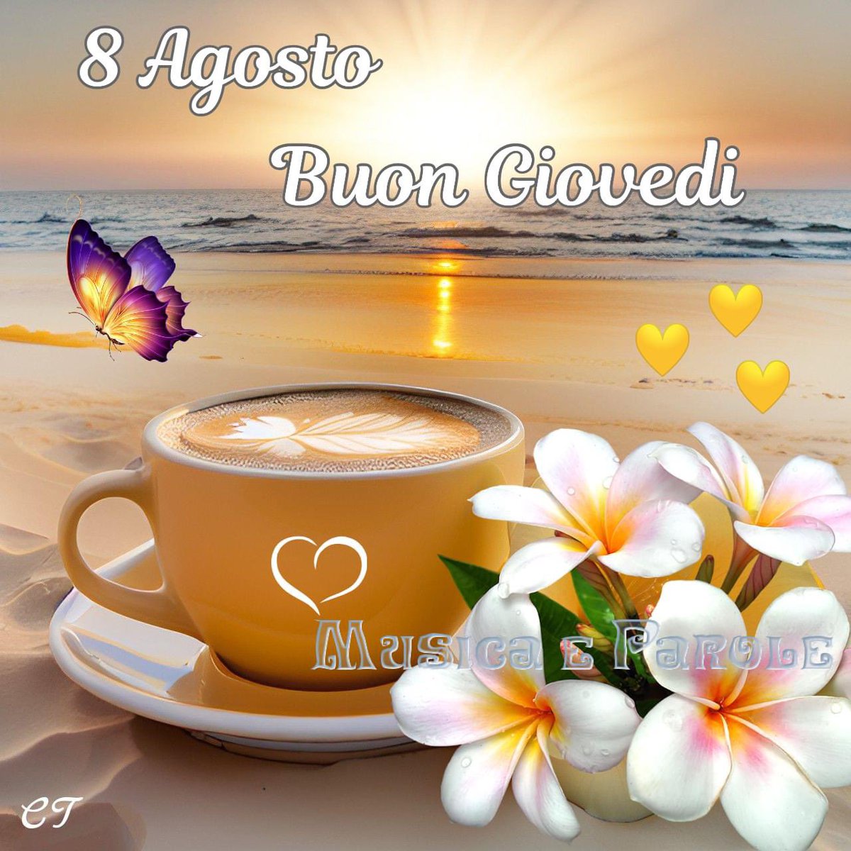 RITABIANCHi56 tweet media