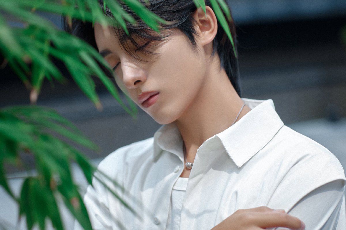 #WINWIN studio update for freeplus event
