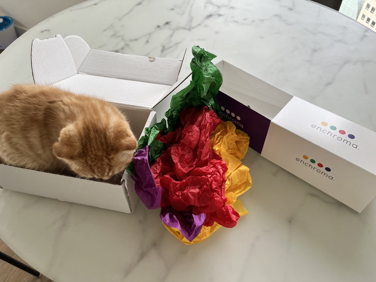 enchroma's tweet photo. EnChroma's tip for International Cat Day: don't throw the box away !π€©π±
#InternationalCatDay #CatLovers #colorforall #enchromaglasses #enchroma #accessibility #daltonico #farbenblind #daltonien #colorblind #colorblindglasses #colorblindness https://t.co/ipGGnaTXD0