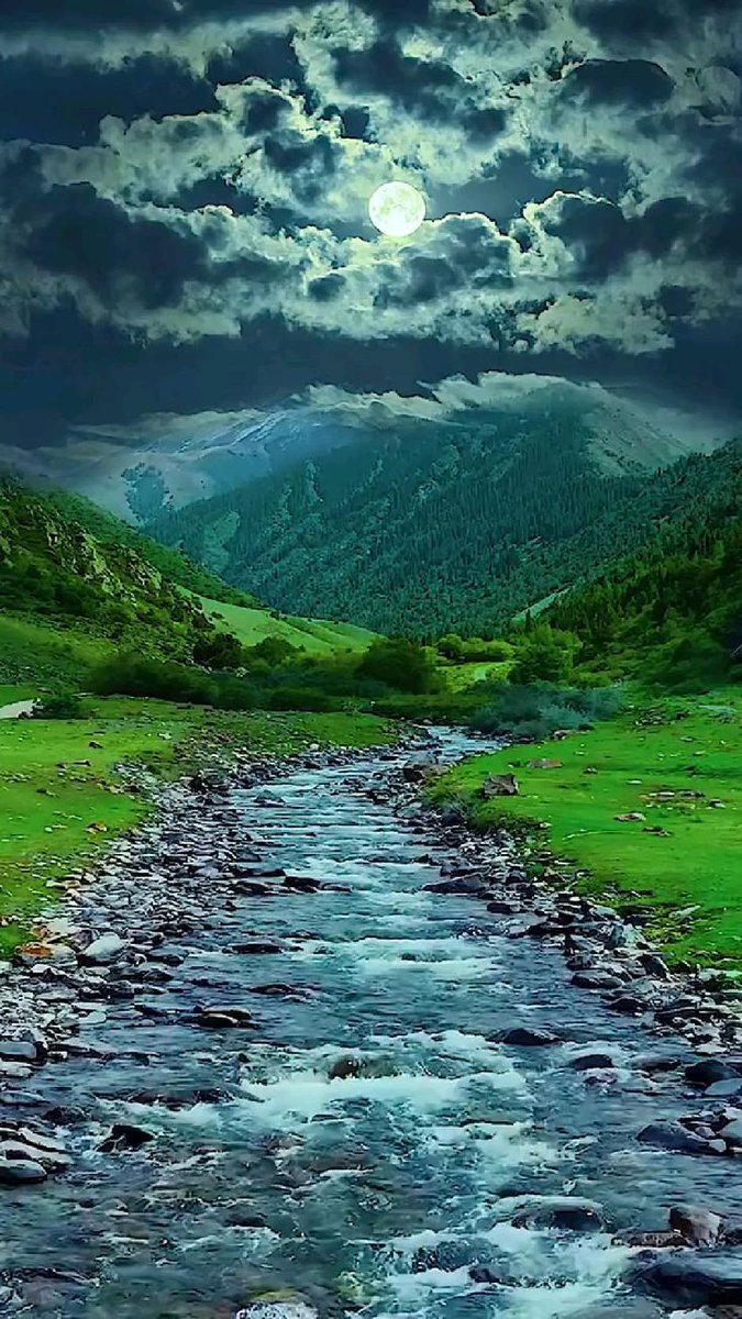 greentvdotcom's tweet photo. Gm y'all! 🌞 

Let's start the day with a commitment to sustainability. 

Every small step counts, whether it's conserving energy, reducing waste, or supporting renewable resources. 

Together, we can create a greener, brighter future for all. 🌍💚 https://t.co/3xkukiJqfO