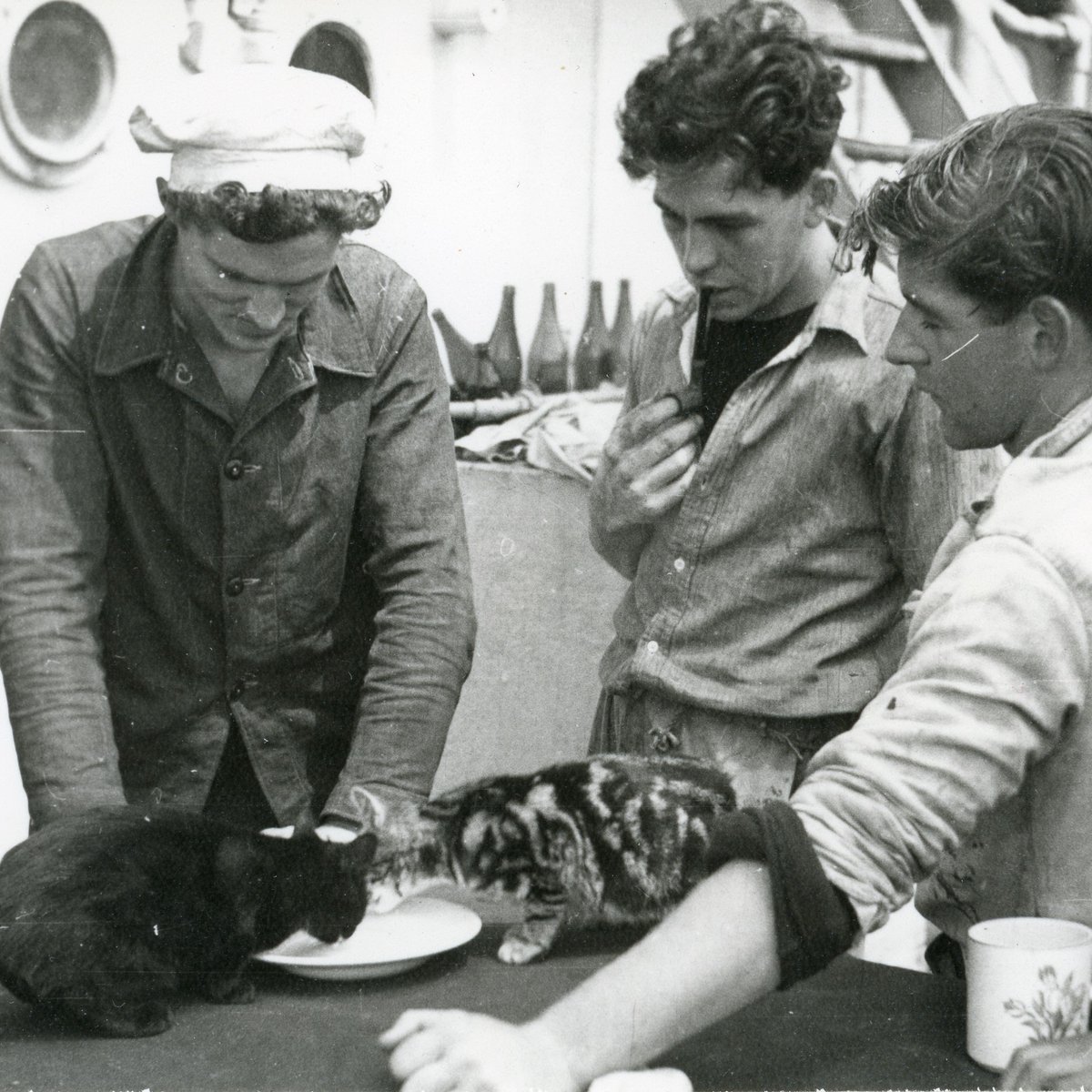 nz_maritime's tweet photo. It's #InternationalCatDay and for centuries these creatures have been trusted ship mates. Sailors brought them on board to keep to control rodents & they acted as companions on long journeys at sea!
NZMM 2012.0.10439
NZMM 2012.0.11634
#NZMaritimeMuseum #NZMMDigitisation https://t.co/94cCANlku3