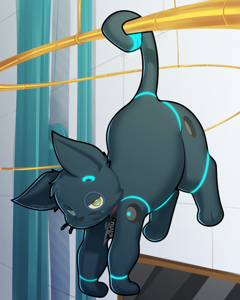 Neverfaceright (@neverfaceleft) on Twitter photo 