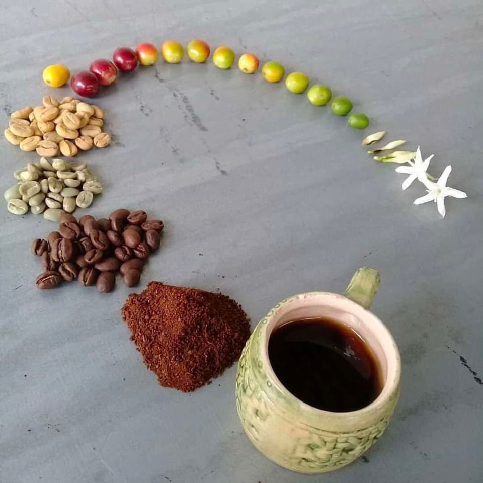 TheFigen_Copy's tweet photo. A different way of looking at the coffee "cycle". https://t.co/8cbpcamyIb
