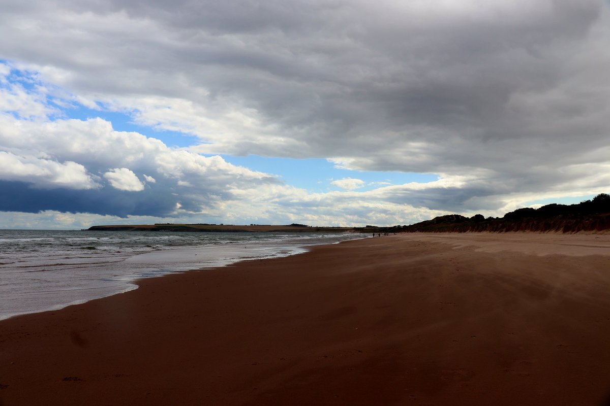 Andybeag's tweet image. Lunan Bay beach on the Angus Coast, what a gem that is.