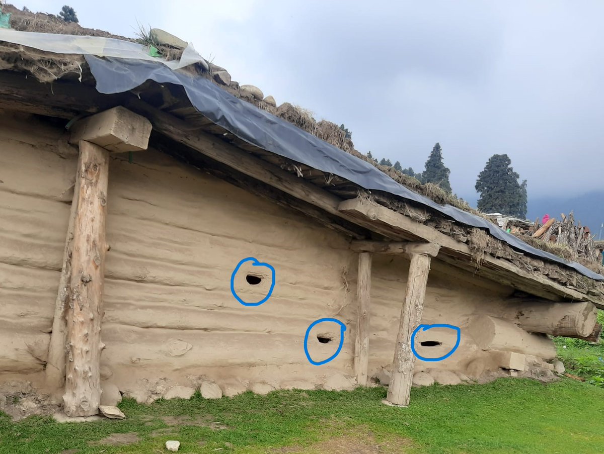 MisraKingsuk's tweet photo. In Kashmir, came across Shepherd's houses, reminding Tribal house in Jharkhand, Kala-azar endemic Indian state, also have no window resulted in Leishmanogenic condition in non-Alluvial soil. Same condition may be here reporting high Cutaneous Leishmaniasis
https://t.co/ZvILdP3X49 https://t.co/klhMa2JfeJ