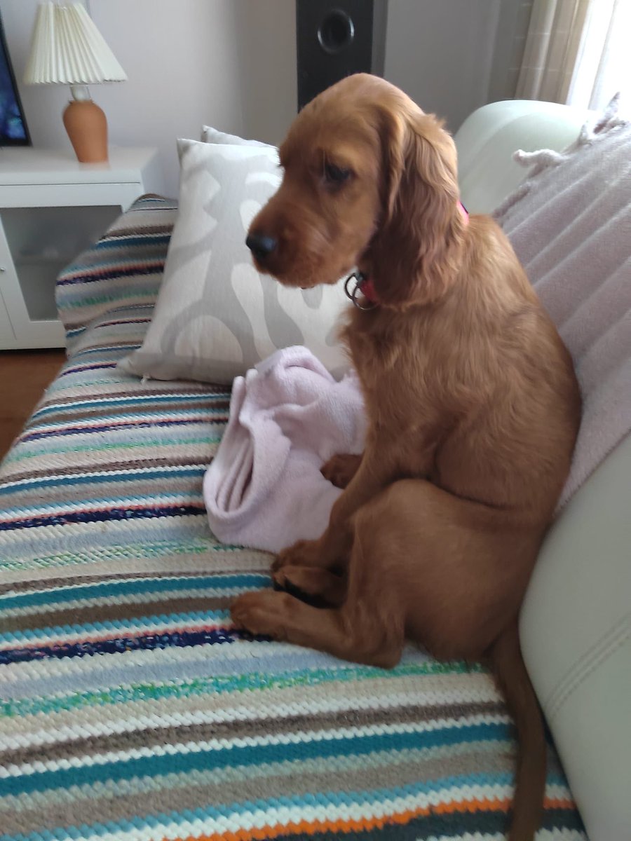 Maria K (@mriaksm) on Twitter photo 