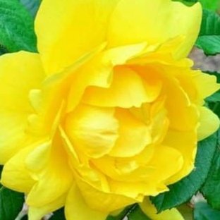 rnmp91's tweet photo. #NewProfilePic https://t.co/l2gYDYpGxp