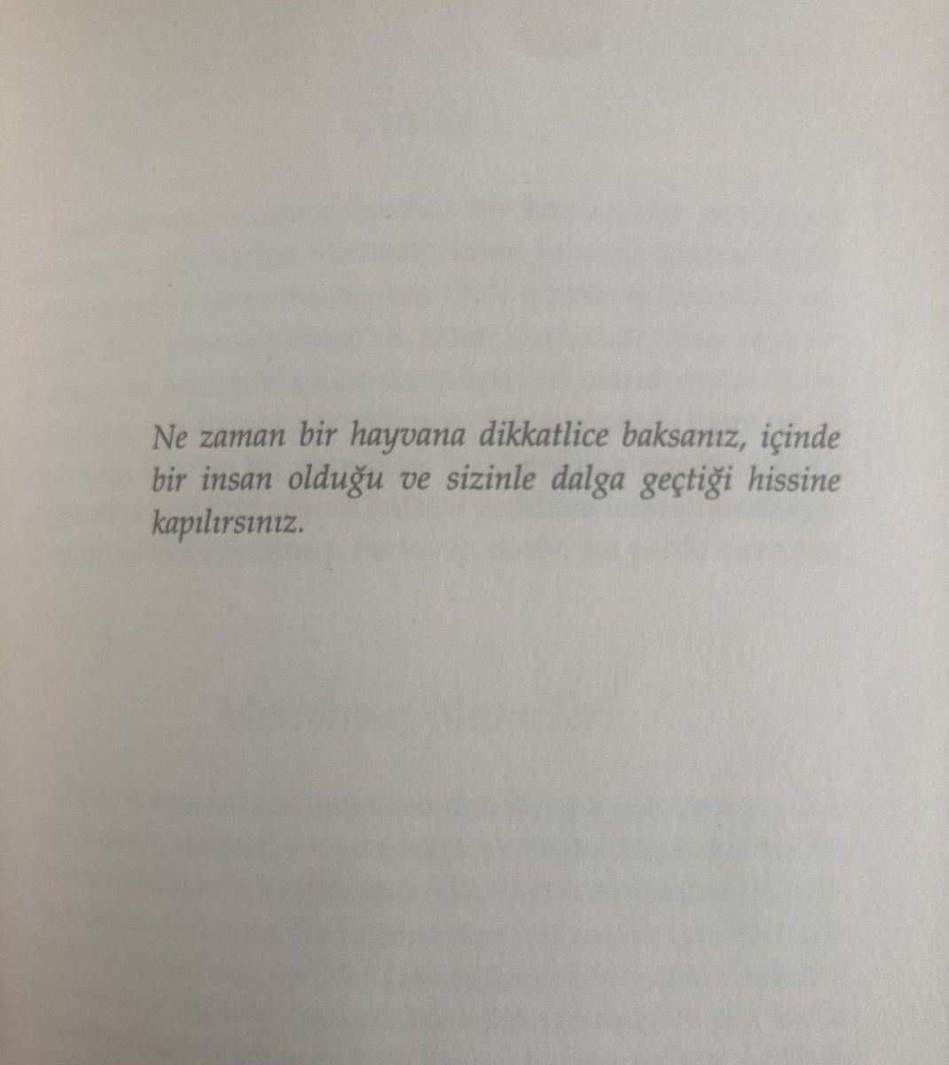 mert (@mert_syn) on Twitter photo 