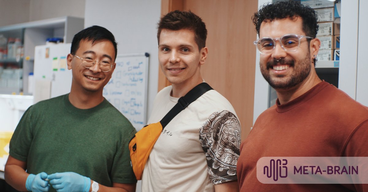 META-BRAIN tweet media