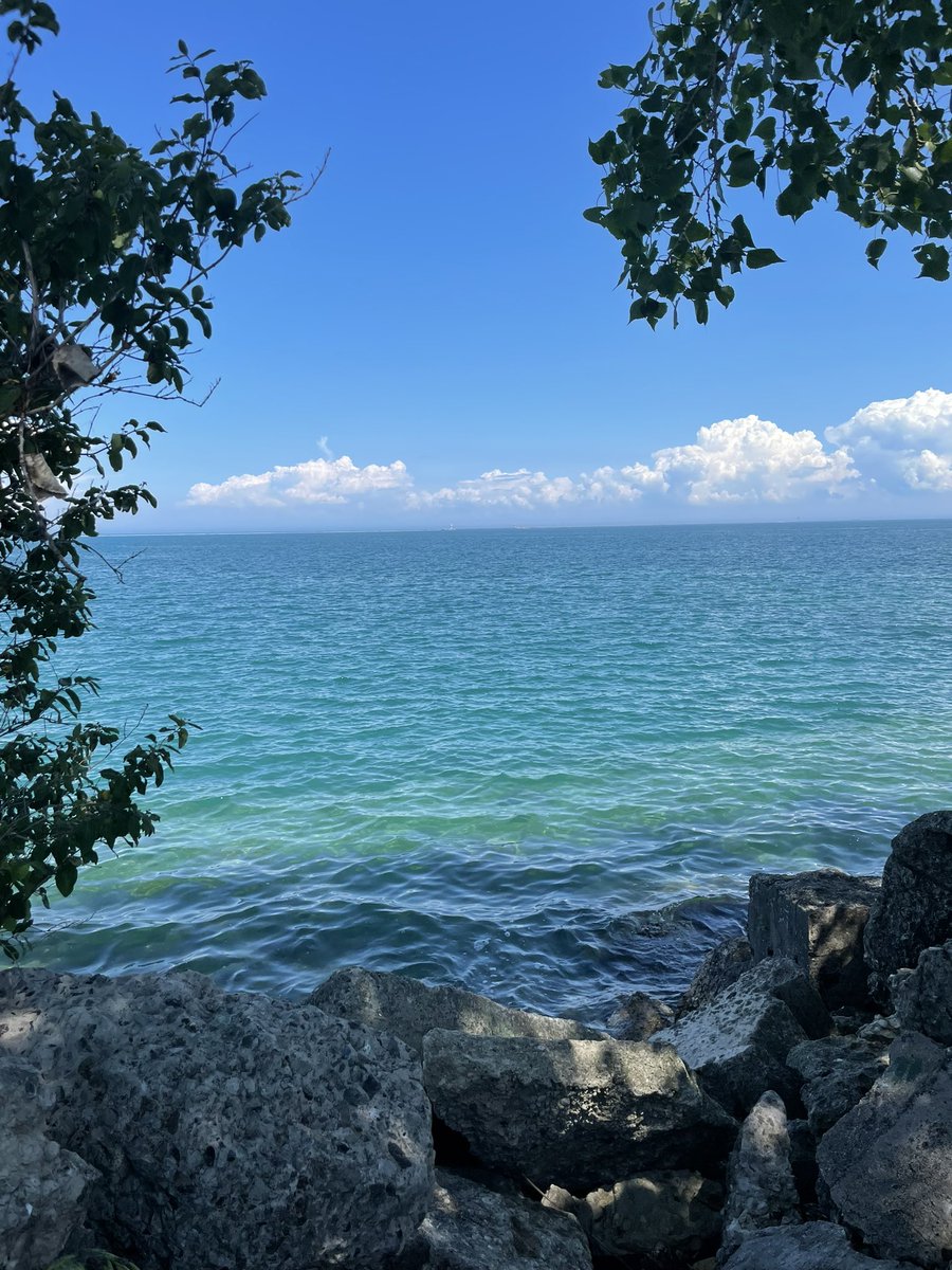 MsBlue222_'s tweet image. A hidden gem in the camera roll ☁️💙🌊