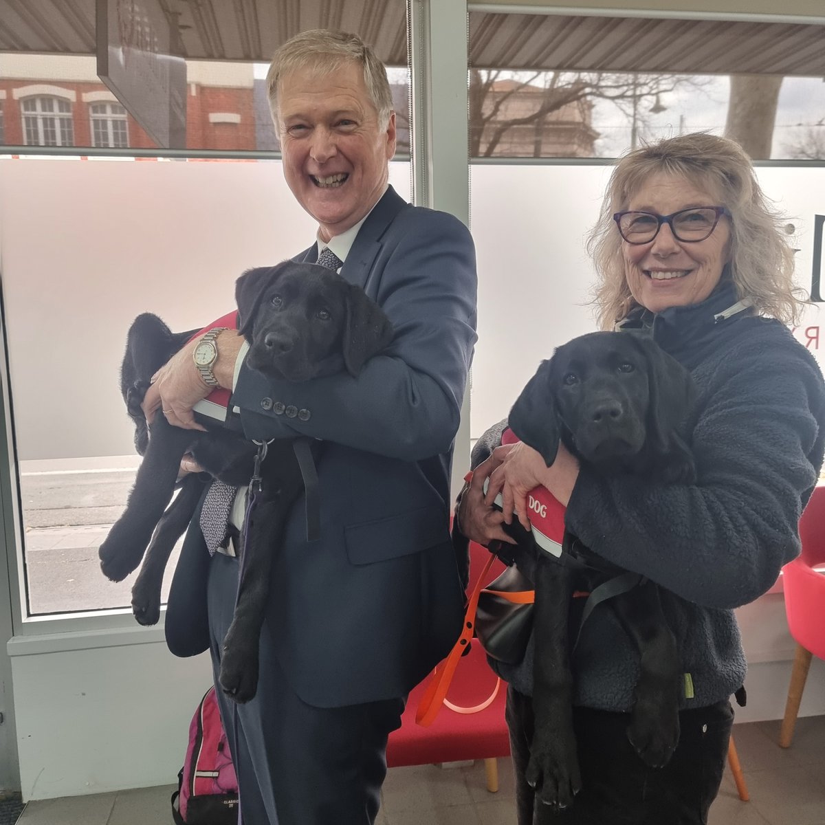 RighteousPups's tweet photo. Honouring Our Heroes: 

We're thrilled to introduce two new pups named after our extraordinary board members, Warren and Barbara, who have been the heart of Righteous Pups for 19 years. Their names now carried by these pups are a tribute to their unwavering dedication. https://t.co/KHrE3lodqM