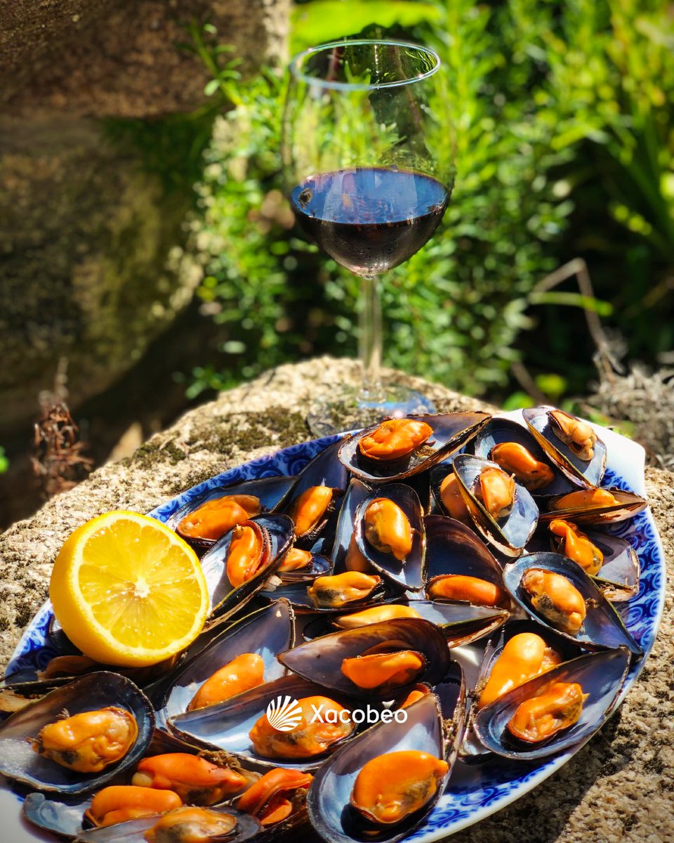 Camino Xacobeo tweet media