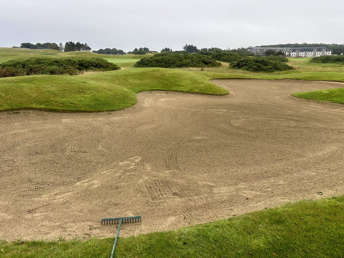 Yesterday we spent 48 labour hours flymo-ing, edging, blowing and raking all 126 bunkers on the golf course. 

This morning. Without exaggeration at least 50% of them are like this.

Dear Golfer, Do Better
 #greenkeeping