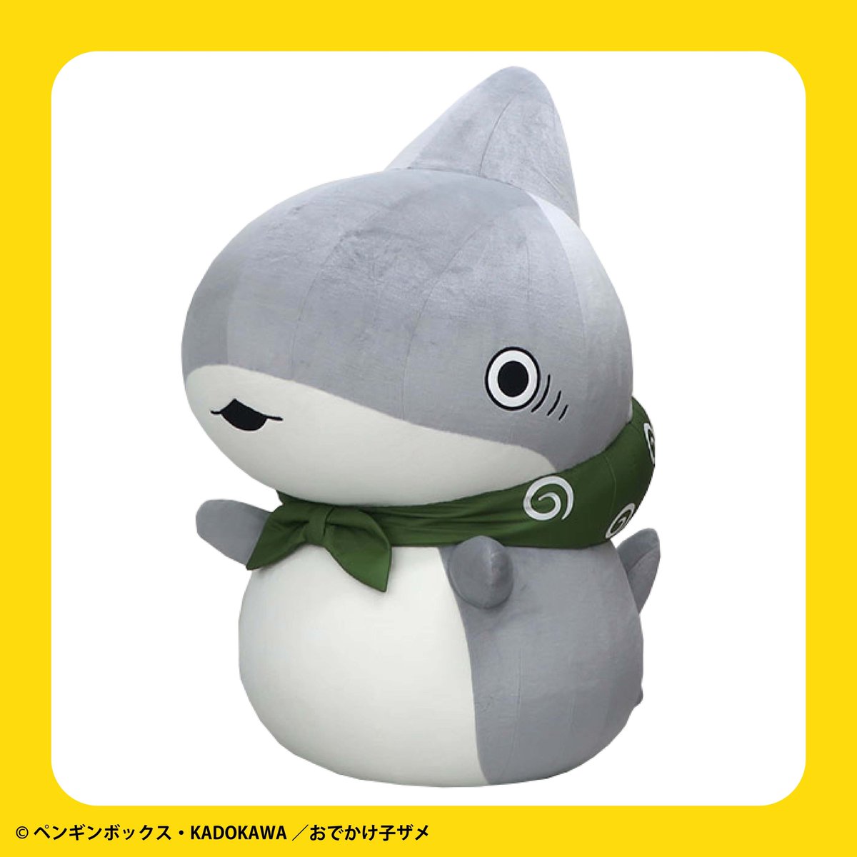 撮影会開催中！あそびにきてね！🦈