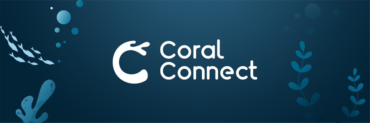 🪸The Real Hill🪸 tweet media