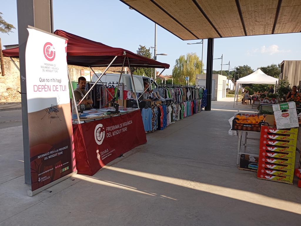 programatigre tweet media