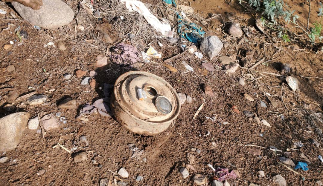 تهامة، اشبعت الميليشيا من جوع، فاطعموها الاهمال والوجع والموت!...