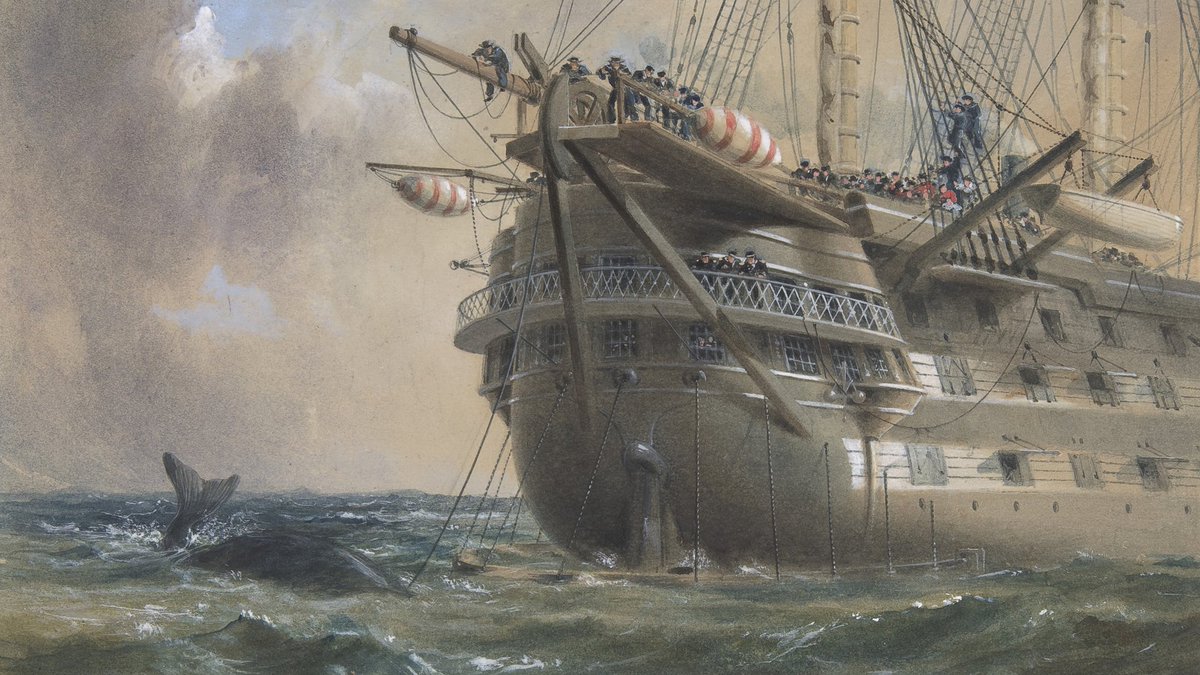 🎂Il y a plus de 160 ans, le premier câble télégraphique transatlantique est posé, entre les États-Unis et l’Europe, par Cyrus Field 🌐

Pour en savoir plus sur cette épopée 🚢
➡️nimareja.fr/5-aout-1858/

#CablesSousMarins #NaviresCabliers