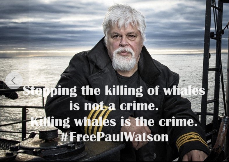 dolphin_angels's tweet photo. #Statsminister Mette Frederiksen @Statsmin
Stopping the killing of whales is not a crime.
Killing whales is the crime.
#FreePaulWatson 
Imprisoning an innocent man for protecting the oceans is a crime against the environment
#Protecting #whales 
https://t.co/HDp4MSXLxj