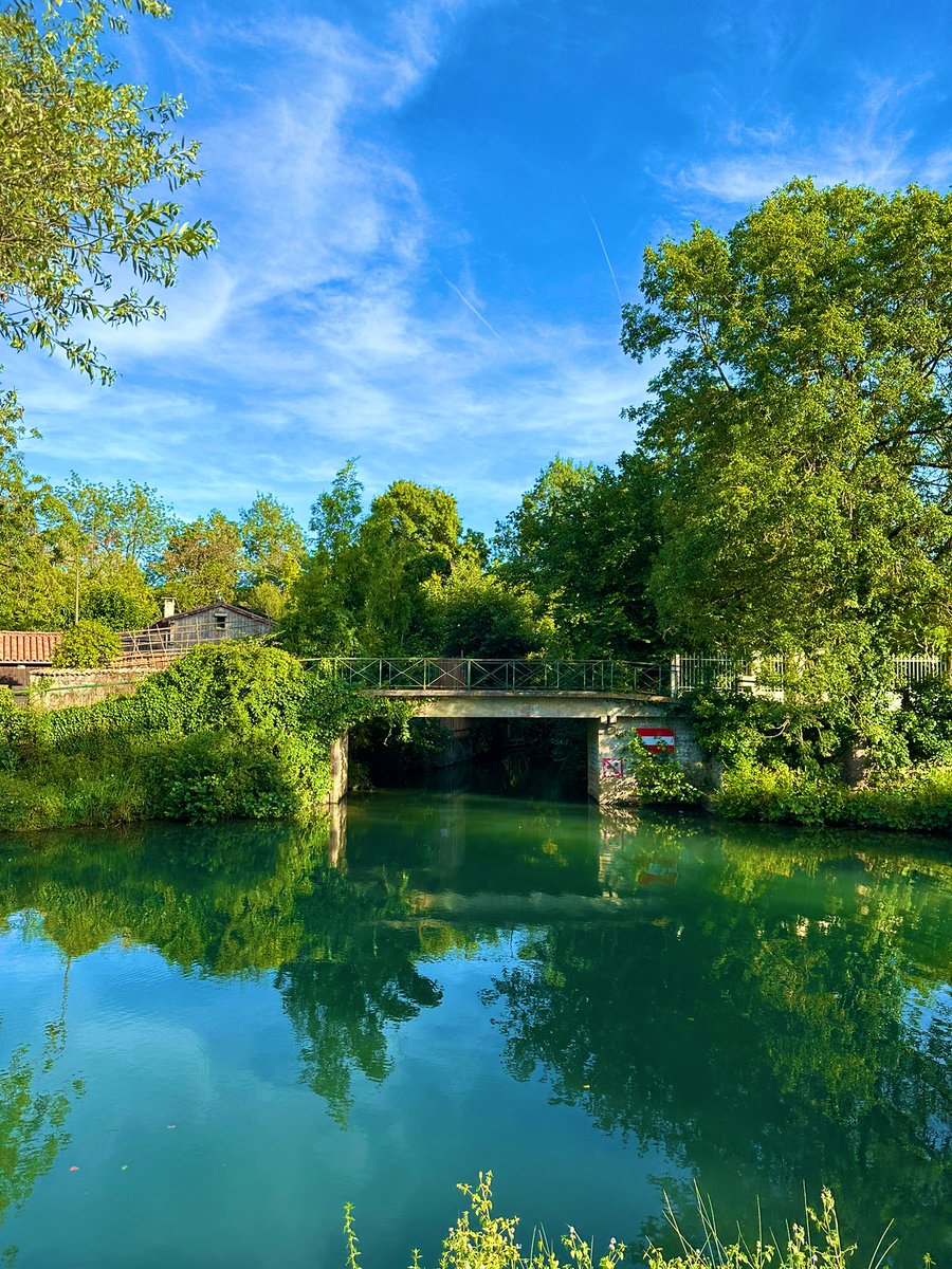 PaPaBCrypto's tweet image. GM to everyone ☀️🇫🇷