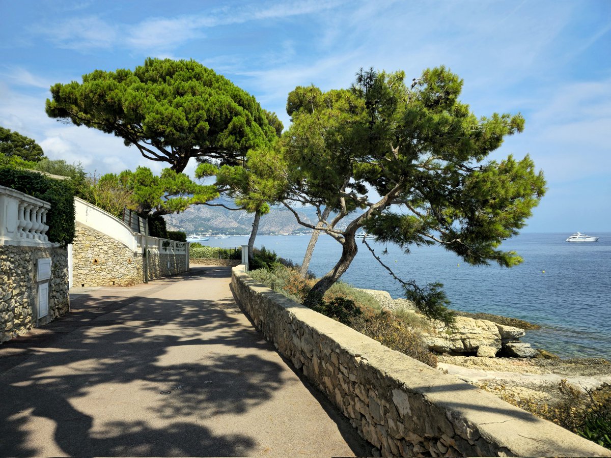 cd_land's tweet photo. #jeudiphoto Mon petit coin de paradis 😍 : la Promenade Rouvier entre #BeaulieusurMer et #SaintJeanCapFerrat
#exploreNiceCotedAzur #CotedAzurFrance #triangledor #FrenchRiviera #baladesympa @ExploreNCA @MetropoleNCA @VisitCotedazur @MaRegionSud https://t.co/VEW72e1dqr
