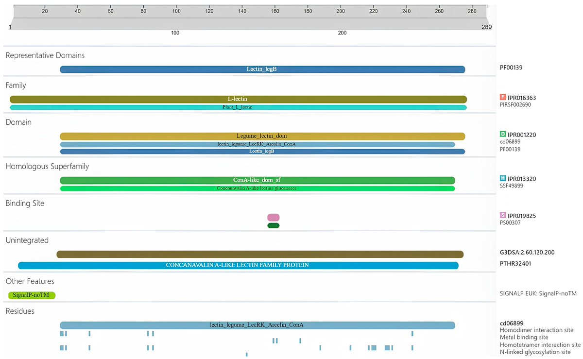 Horticul_MDPI's tweet image. Horticulturae - New Published Paper🍀

📖Title: Characterization of #Lectin from #Bauhinia #holophylla Using #Bioinformatics Tools

✍️Paper written by: Ana Hortência Fonseca Castro et al.

🔗Link: mdpi.com/2311-7524/10/7…

#academic #publishing #MDPI #horticulture #science