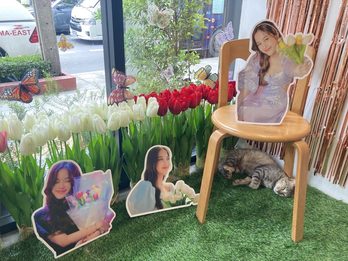freenfanclub_'s tweet photo. บรรยากาศอบอุ่น ๆ ของคนที่รักฟรีน 🌷💖✨

BEST WISHES FOR SAROCHA
#Freen26thSparkleDay
#srchafreen #GIRLFREEN
#26thHallOfFreenProject https://t.co/lSPq7iU8lc