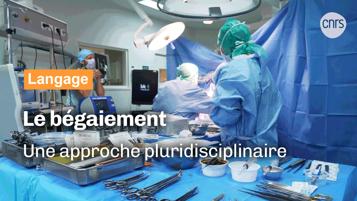 CNRS Occitanie Est tweet media