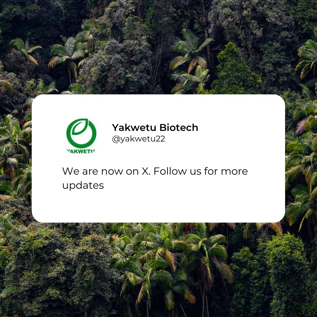 Yakwetu22's tweet photo. YAKWETU BIOTECH🌾 is now on X
↙️

♻️We are accelerating green agri adoption with Innovative Bio Fertilizers from organic Waste.

🌽Harness Biotech and Formulation Tech to design formulas for climate responsive crop production.

Join us and stay updated🤝
#SustainableFarming https://t.co/FqEPQ3AtRa