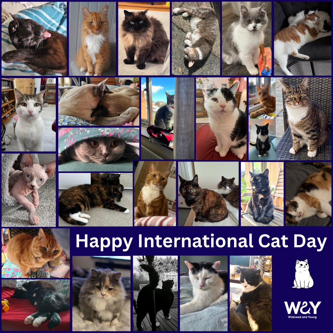 WidowedAndYoung's tweet photo. WAY cat owners can all agree that their feline friends have kept them going through the worst of times. ๐ ๐
WAY has many support groups, including one for cat owners. https://t.co/lVjGm8WRqQ
#InternationalCatDay #FelineFriends #SupportCats https://t.co/tYtPNpcF4k