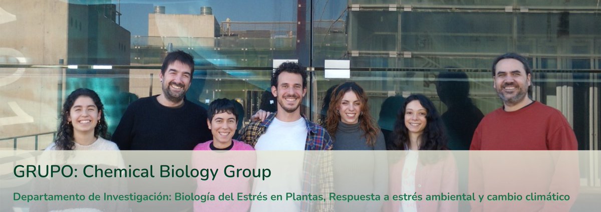 El grupo "Chemical Biology Group" del IBMCP investiga la sequía en cultivos como maíz, arroz y tomate, usando biología química para diseñar moléculas que activan la resistencia a la sequía. 

i.mtr.cool/oadiqkmsle
